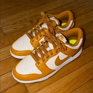 Women’s nike dunks size 9